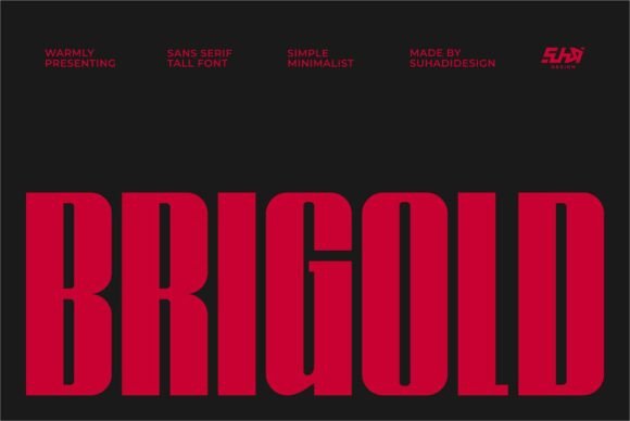 Brigold: A Modern Sans Serif Typeface for Web Design