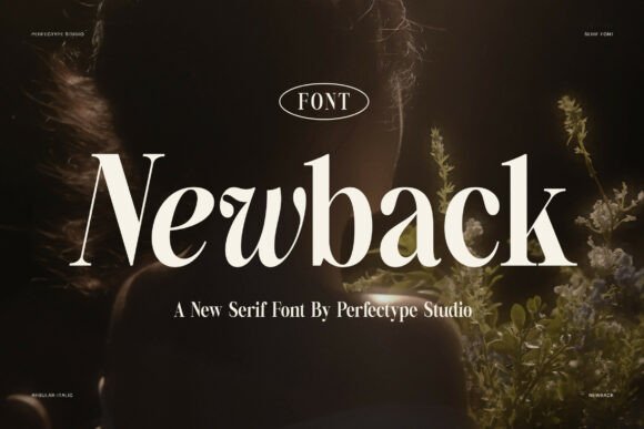 Newback Serif: A Designer’s Honest Review